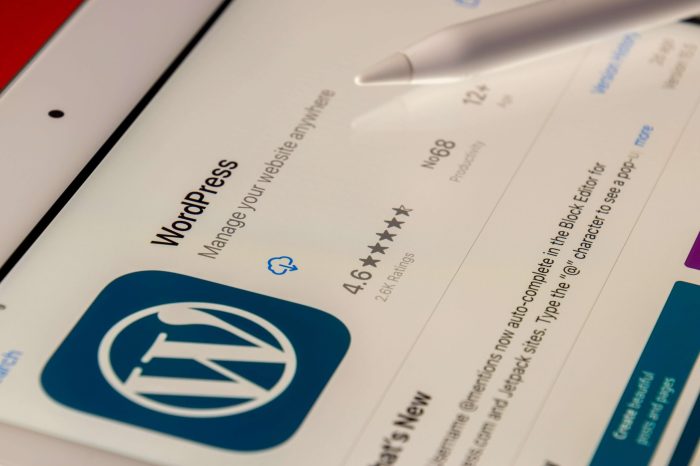 WordPress 2024